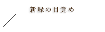 黒ゴマリキュール